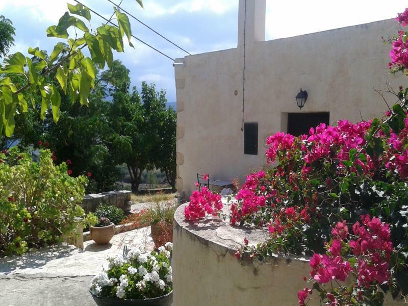 Petra & Elia Vila Megala Chorafia Exterior foto