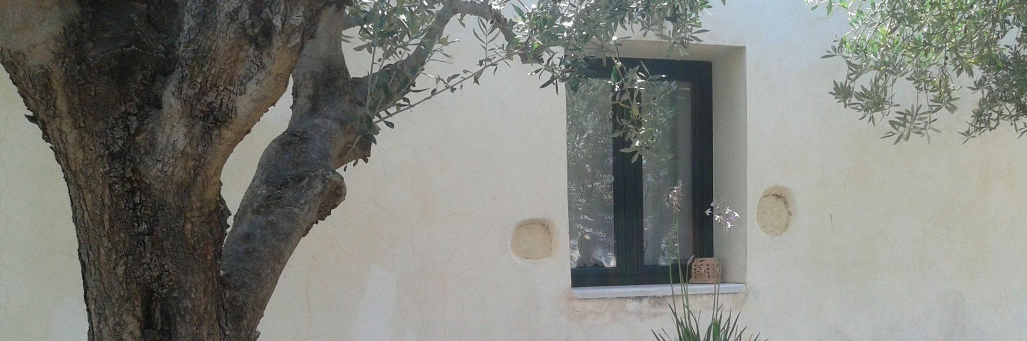 Petra & Elia Vila Megala Chorafia Exterior foto